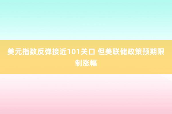 美元指数反弹接近101关口 但美联储政策预期限制涨幅